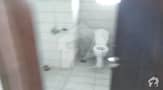 5 5