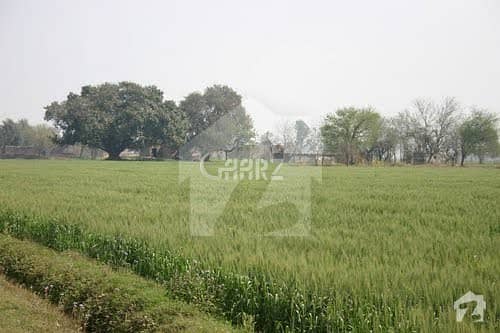 Ferozpur Road Land For Sale