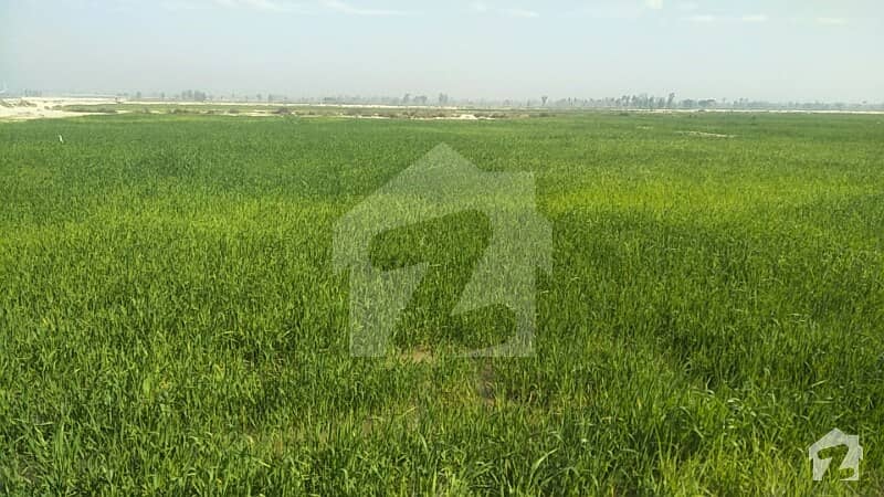 Agriculture Land For Sale Of 25 Acre