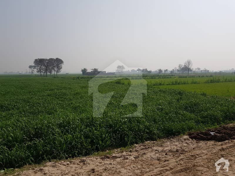 20 Acre Agricultural Land Is Available For Sale In Bedian Road Bedian Road, Lahore ID21566671