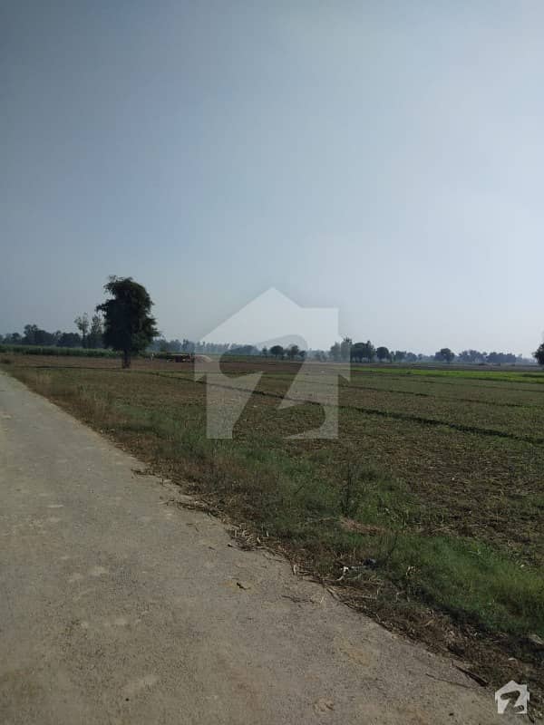 Farm House Land Is Available For Sale On Bedian Road Bedian Greens Farm