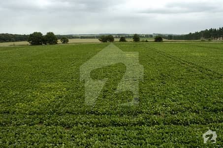 Dha Lahore Phase 4 Block Ff Plot Number 173 Dha Lahore Phase 4 Block Ff Plot Number 173