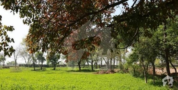 ڈی ایچ اے فیز 8 ۔ سی سی اے 2 ڈی ایچ اے فیز 8 ڈیفنس (ڈی ایچ اے) لاہور میں 4 مرلہ کمرشل پلاٹ 5.25 کروڑ میں برائے فروخت۔ ڈی ایچ اے فیز 8 ۔ سی سی اے 2 ڈی ایچ اے فیز 8 ڈیفنس (ڈی ایچ اے) لاہور میں 4 مرلہ کمرشل پلاٹ 5.25 کروڑ میں برائے فروخت۔