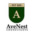 AveNest Consultants AveNest Consultants
