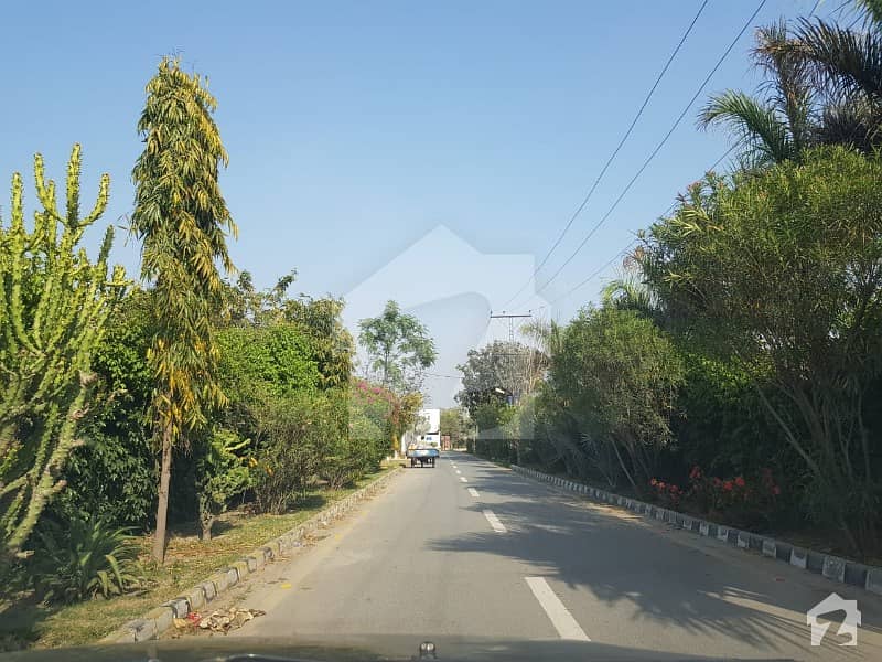4 Kanal Corner Farmhouse Land Available For Sale On Bedian Road Bedian