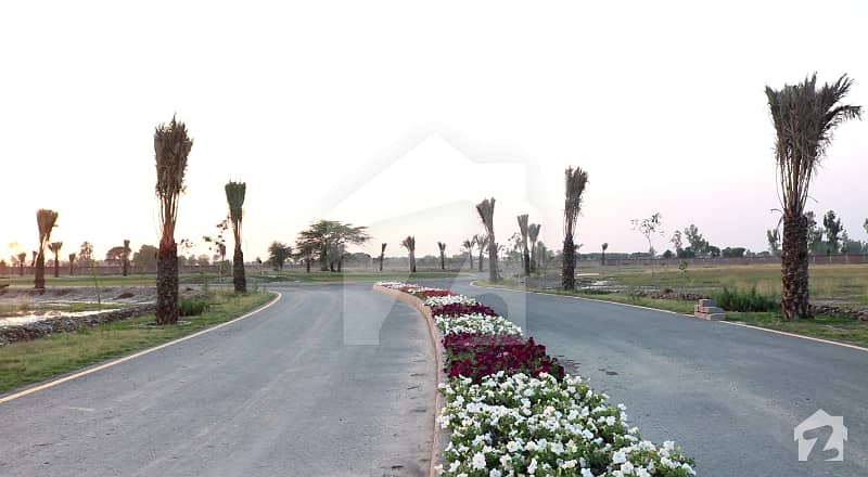 2 Kanal Farm House Land For Sale In  Lahore Block C Bedian Road Lahore