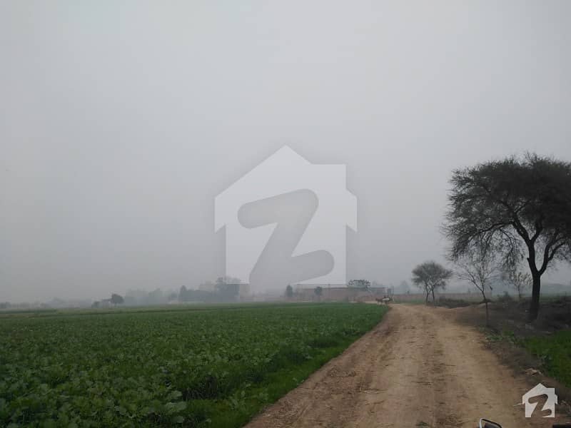 33 Kanal Land For Sale At Shahpur Kanjrah Lahore