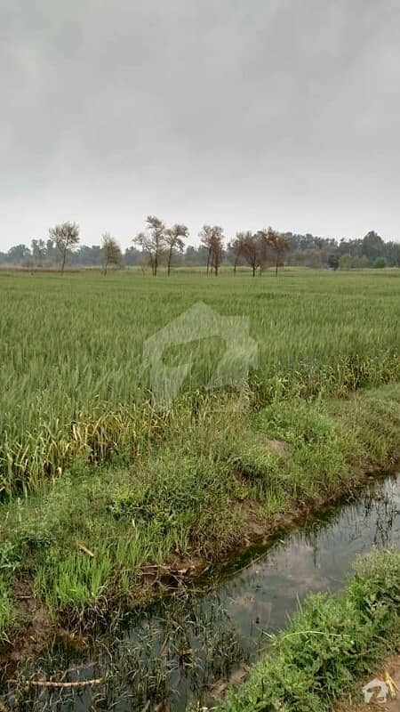 94 Kanal Agricultural Land For Sale Main Khan Poor Road