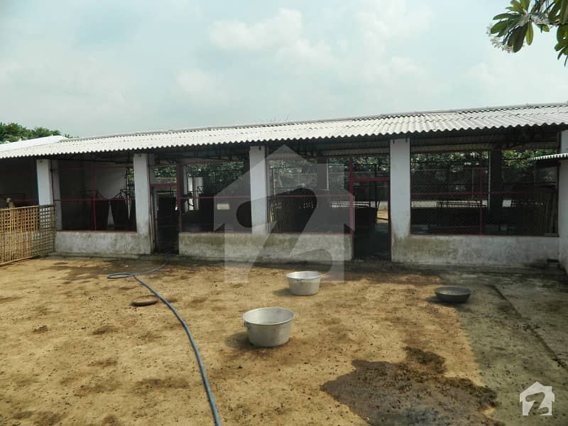 Developed Poultry Farm For Sale Near Hasanabdal City Developed Poultry Farm For Sale Near Hasanabdal City