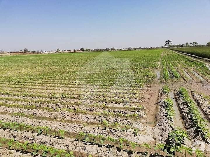 60 Acres Agricultural Land For Sale In Kot Addu