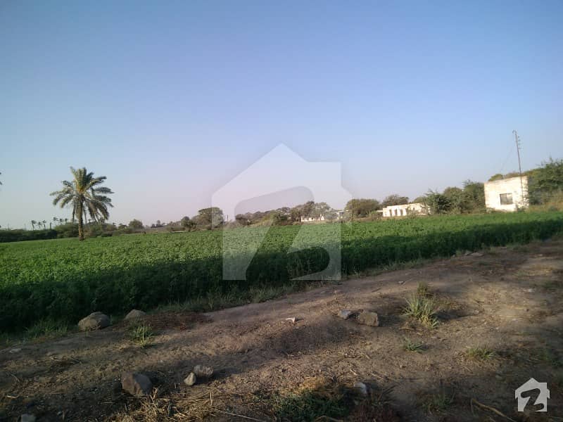 Survey Agricultural Land 60 Acre Chance Deal In Memon Goth