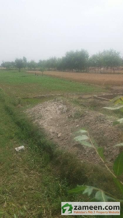Land For Sale In Chichawtani Road Aziz Gujjar Chak 78eb