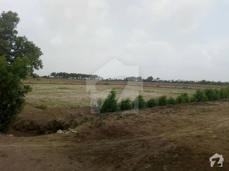 16 Acre Land In Muradani Road Taluka Mirpur Sakro Thatta