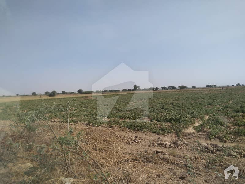 200 Acre Cultivated Land On M9n5 Link Road Karachi