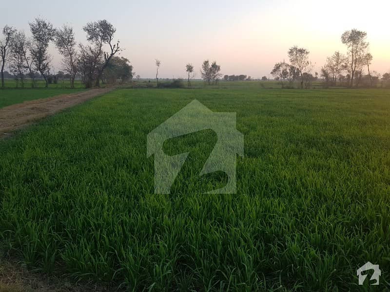2 Acre Agricultural Land Is Available For Sale In Bedian Road Bedian