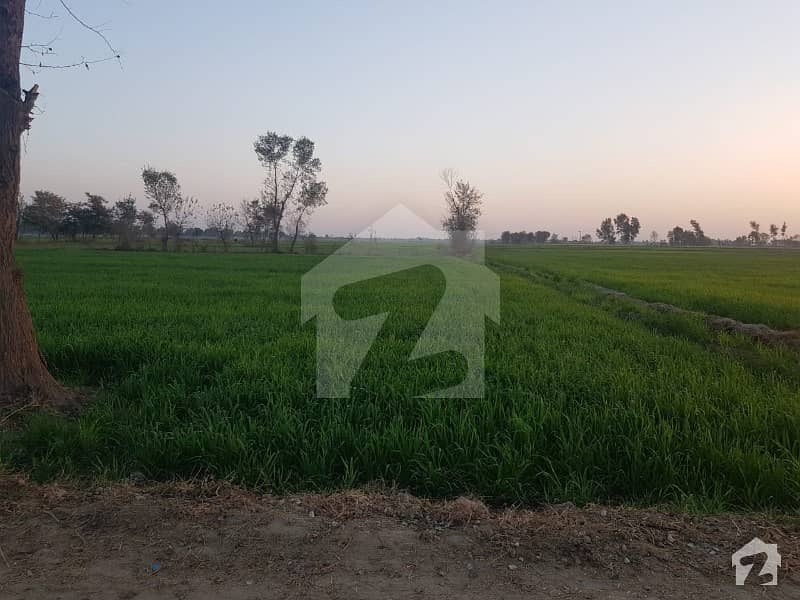 2 Acre Agricultural Land Is Available For Sale In Bedian Road Bedian