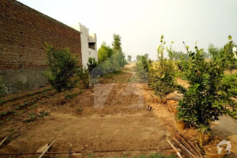 4 Kanal Farm House Available In Rose Block Semi Develop Registry IntQal