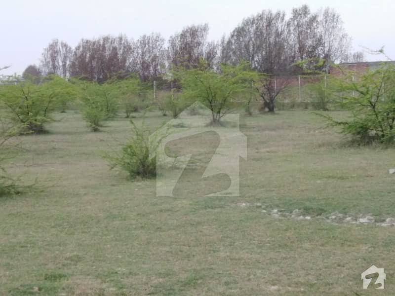 Farm House Land Is Available For Sale