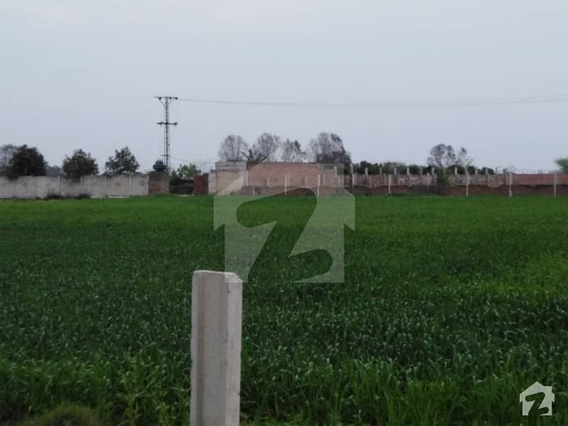 Farm House Land Is Available For Sale