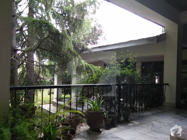 5 Kanal Old House For Sale With Chinar Trees Lush Green Lawns At Heart Of City Abbottabad