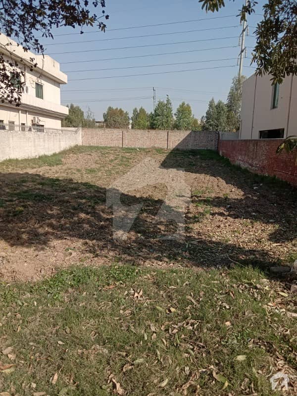 21 Marla 175 Sq Ft Residential Plot Available For Sale Very Very Reasonable Price