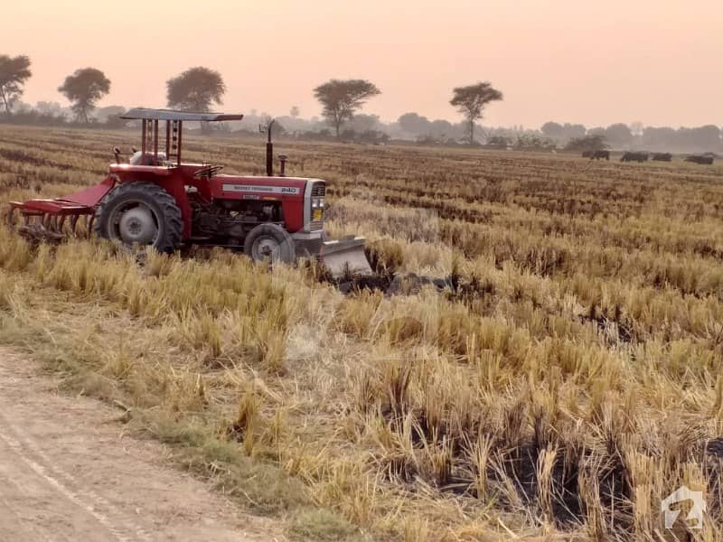 Fully Agriculture Land Available For Sale At Jarranwala Road Jaranwala