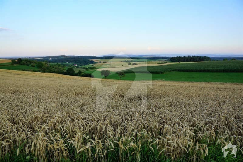 20 Acre Fully Agriculture Land Available For Sale At Jaranwala Road