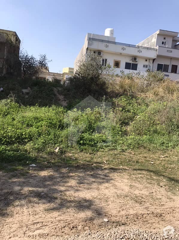 Pindi Facing  Plot# For Sale In St#38 G-13