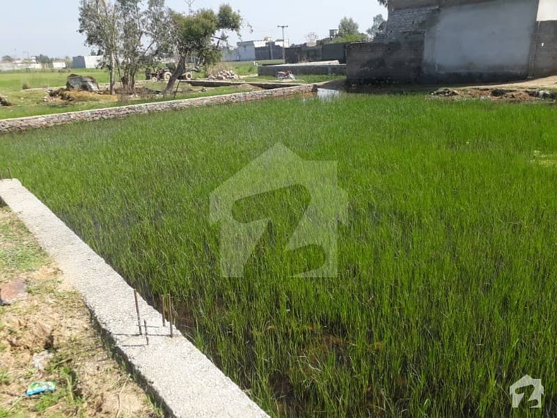 20 Marla Plot For Sale In Ismaila