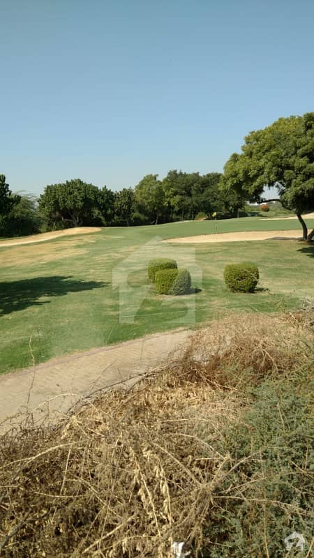 1000 Sq Yards Residential Plot For Sale