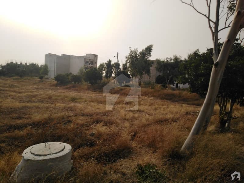 Commercial Plot Pair Is Available For Sale