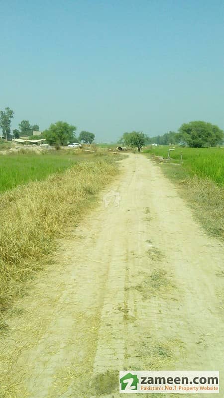 25 Acres Agriculture Land For Farm House Is Available For Sale