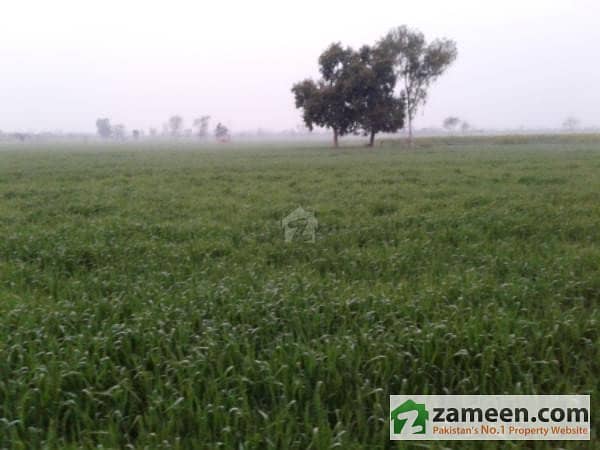 Moj Estate Offer Agriculture Land For Sale