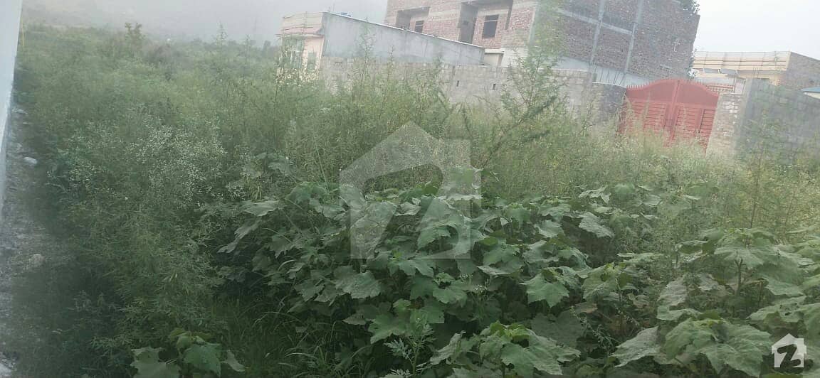 Plot Available For Sale In Maira Havelian