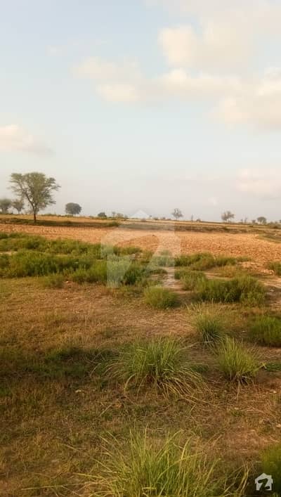 2600 Kanal Land Near Mianwali A Very Fertile