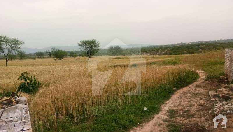 3000 kanal rich fertile soil land Kalar Kahar 3000 kanal rich fertile soil land Kalar Kahar