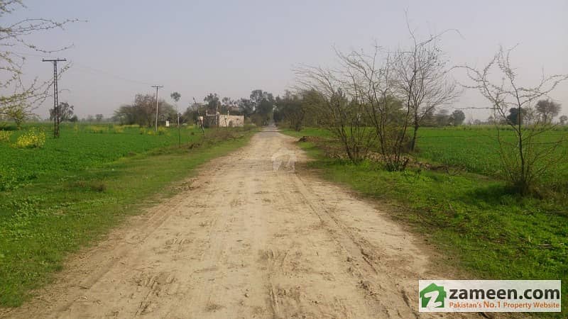 25 Kanal Agriculture Land 225 Feet Front Available For Sale On Main Burki Road
