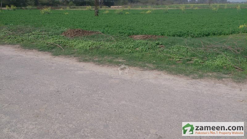 160 Kanal Agriculture Land Near To Suwis Farm House Available For Sale Off Burki Road