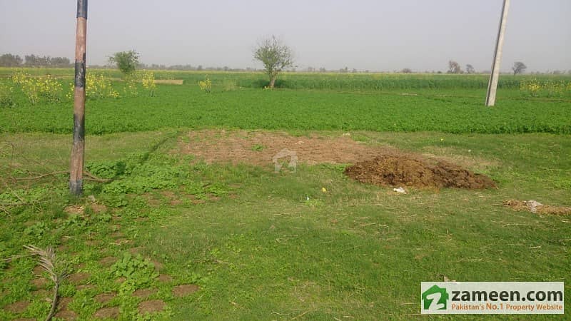 12 Kanal Agriculture Land Located Between Disant Farm Houses On Burki Road