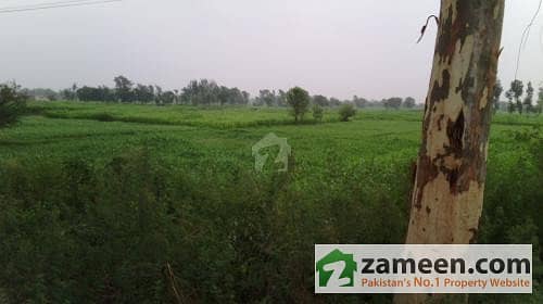 6 Kanal Farm House Land For Sale - Main Bedian Road