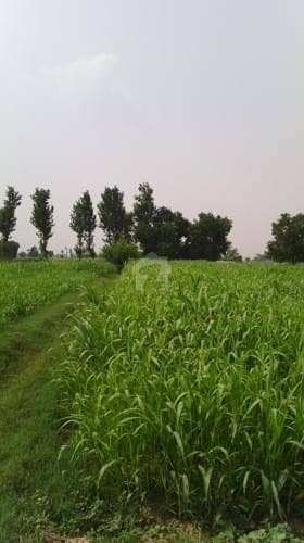 4 Kanal Land For Sale