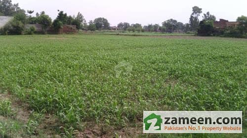 2 Kanal Agricultural Land For Sale - Price 18 Lac - Corner