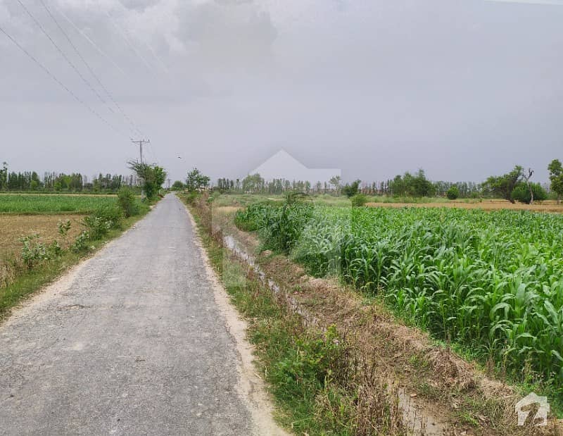6 Acre Agriculture Land For Sale Future Investment Farm House And