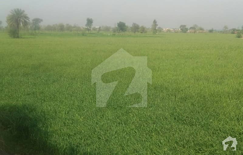 Agricultural Land Is Available For Sale