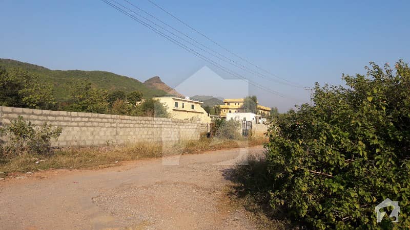 Farm House Plot Is Available For Sale