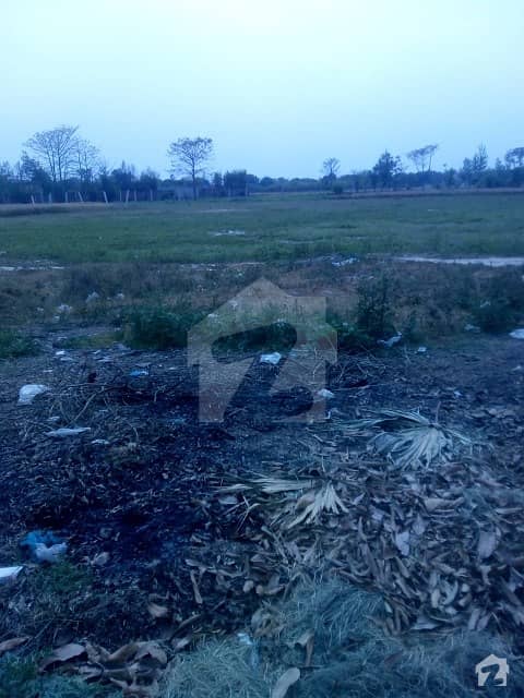 22 Kanal Farm House Land Available For Sale In Theather