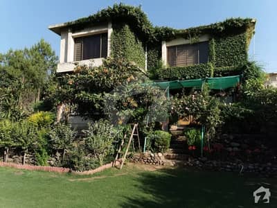 Amazing Opportunity To Buy 2 Kanal House With 1 Kanal Garden Amazing Opportunity To Buy 2 Kanal House With 1 Kanal Garden