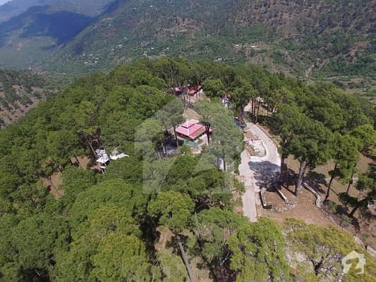 10 Marla Plot For Sale In Murree Resorts Angoori Road New Murree