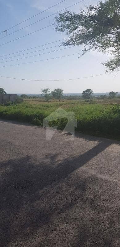 22 Kanal Land For Sale Near Chowk Pindori 22 Kanal Land For Sale Near Chowk Pindori