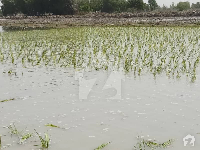 151 Acre Land For Sale 151 Acre Land For Sale